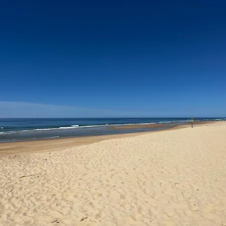 L'echo Des Vagues